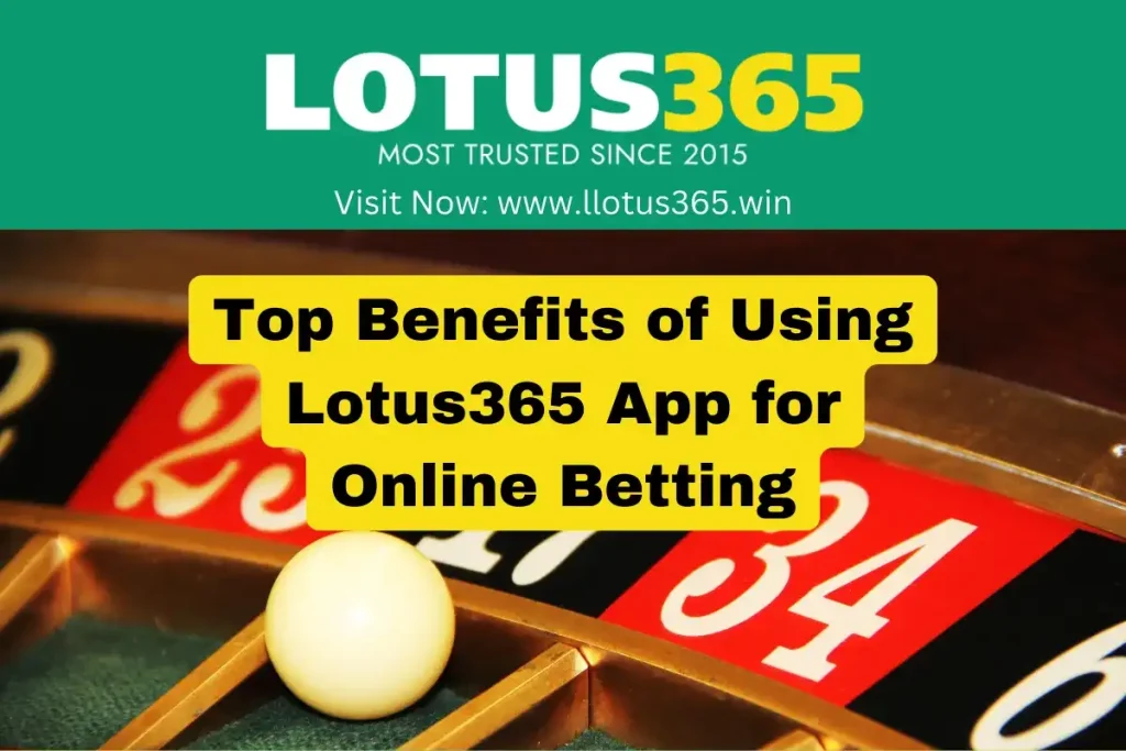 Top Benefits of Using Lotus365 App for Online Betting - llotus365
