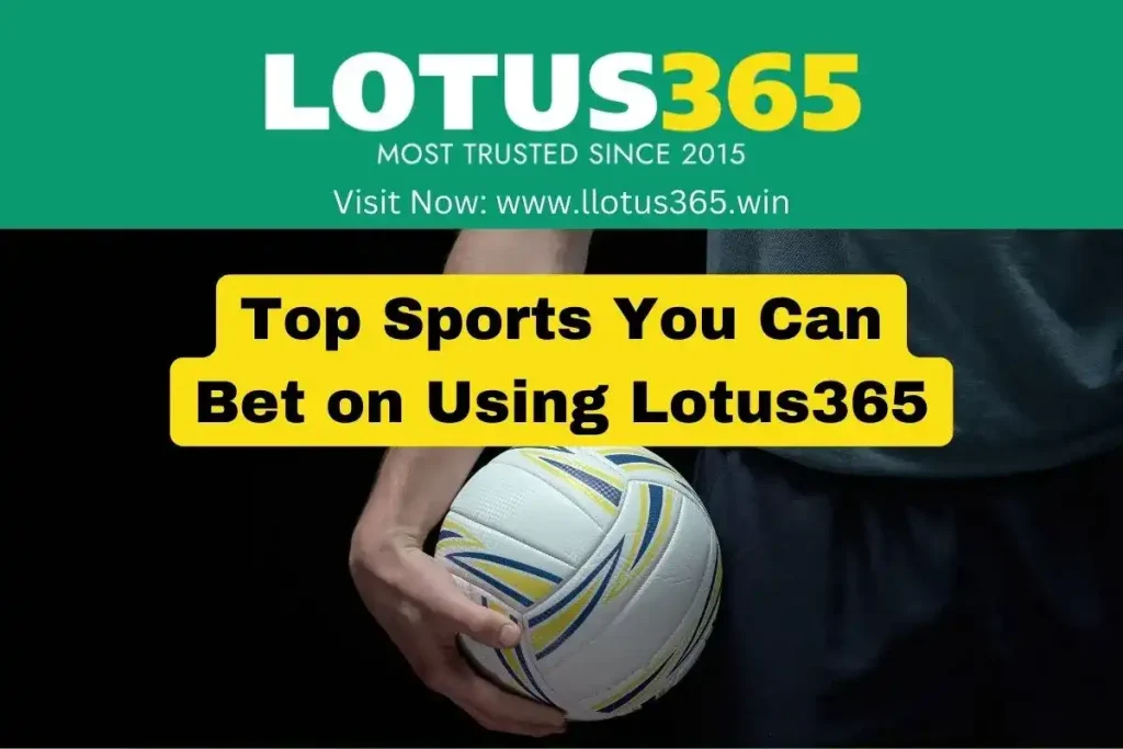 Top Sports You Can Bet on Using Lotus365