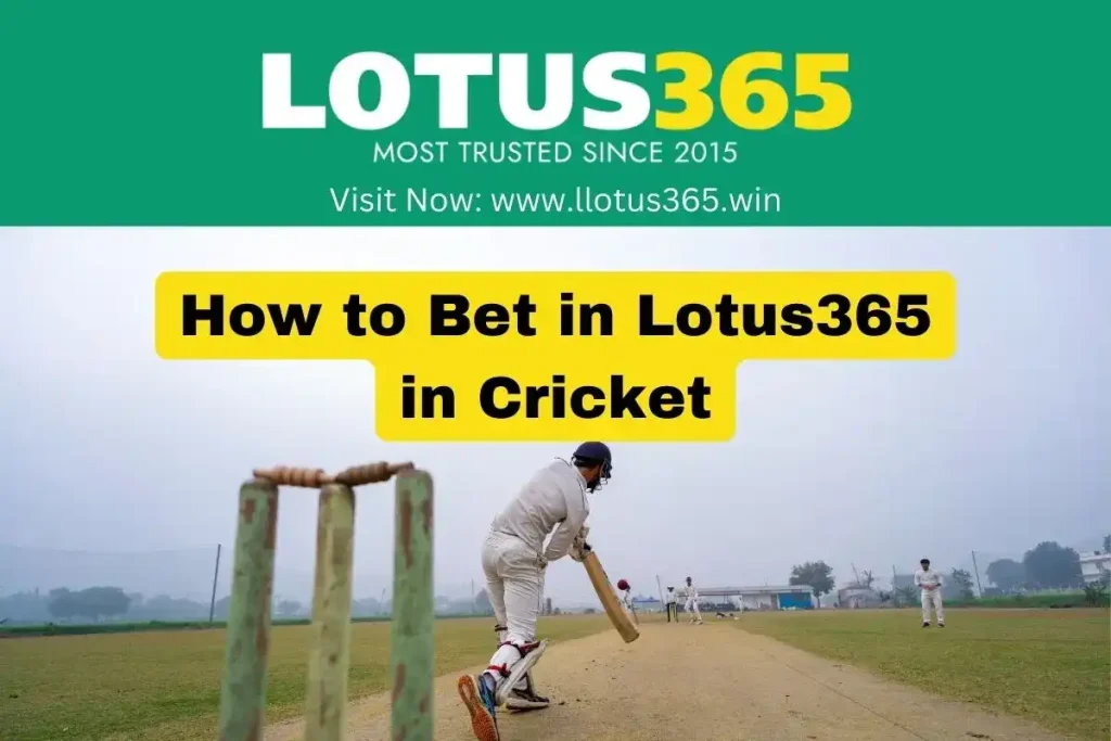 How to Bet in Lottus365 in Cricket