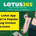Why Lotus App Cricket Is Popular Among Cricket Lovers