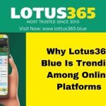 Why Lotus365 Blue Is Trending Among Online Platforms
